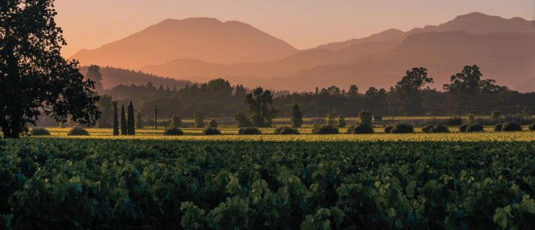 Napa Valley Header