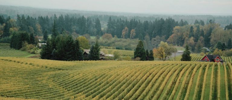Willamette Valley Header