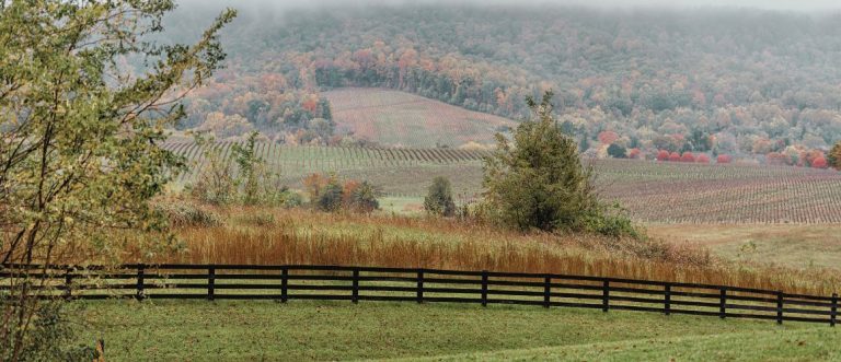 Central Virginia Wine Header