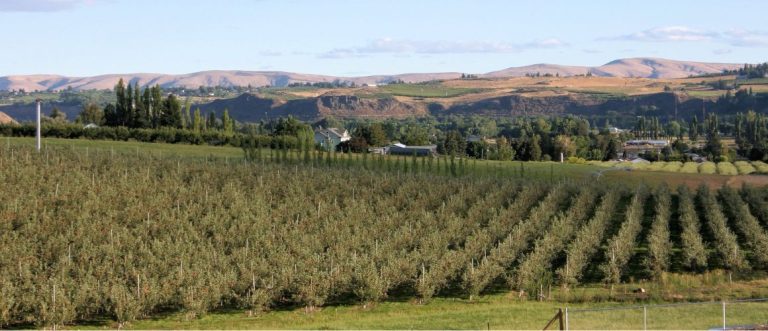 Washington Wine Header