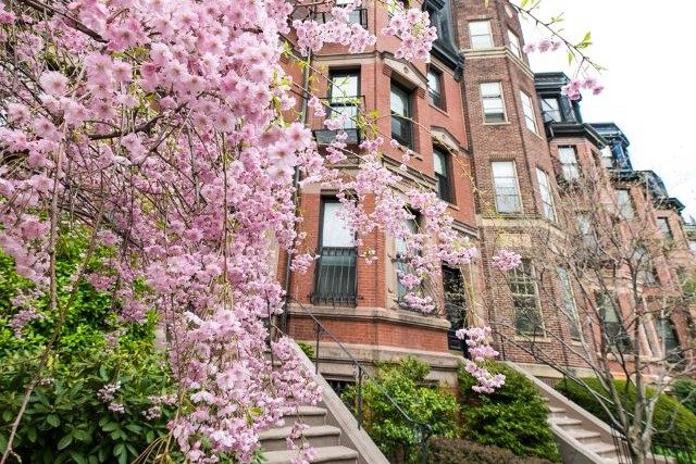 BackBay_KyleKlein_KK4_1736