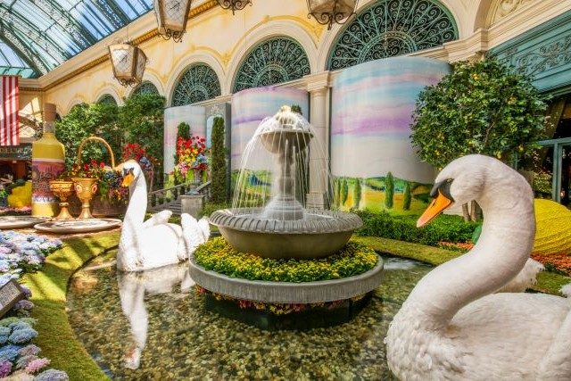 Bellagio Gardens