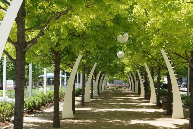 Butterfly Garden Arches - CAROL VIG-5b2df79
