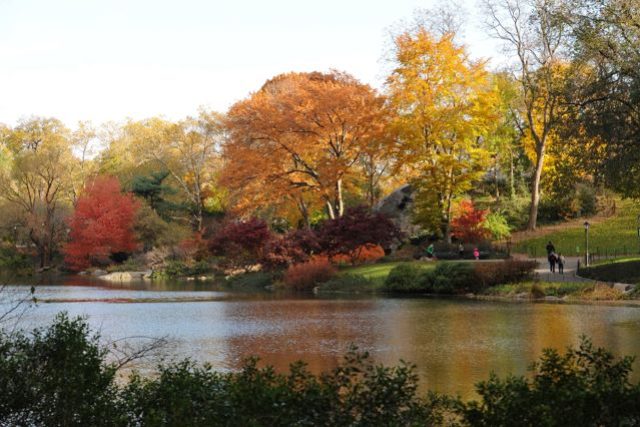 Central Park