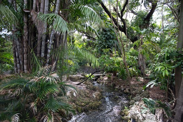 Coral Gables_Fairchild Tropical Botanic Garden-20180514-189