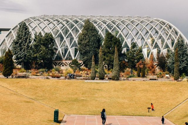 Denver Botanic Gardens Photo by Morgan Newnham on Unsplash