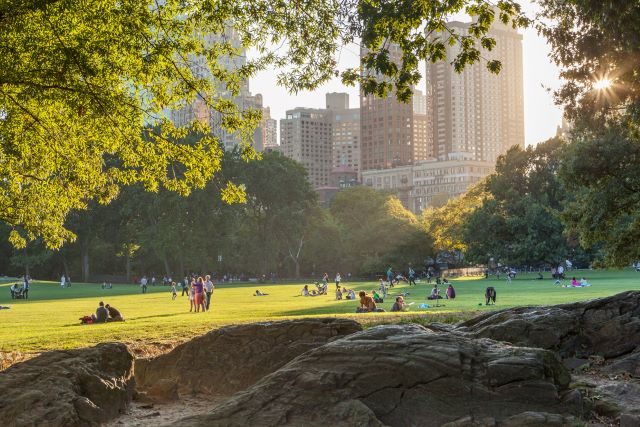 Great Lawn