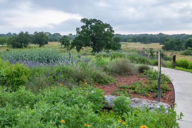 LBJWC_Trails_Credit_to_Lady_Bird_Johnson_Wildflower_Center_No_expiration_date_2_ Lady Bird Johnson Wildflower Center