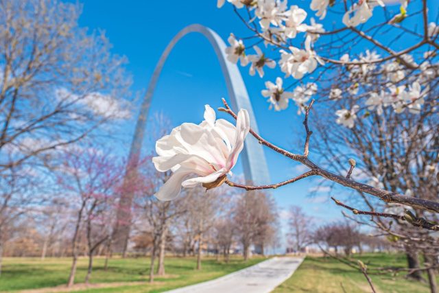 Large-Gateawy Arch Spring © Mark Hermes Explore St. Louis