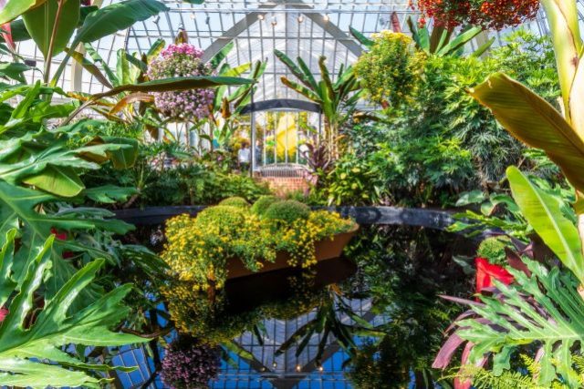 Phipps_Conservatory_Fall_Floral_Display_91_Credit__StvUlgySaqDX0ExQ8qWEewr18q0ABlZBh_rgb_l