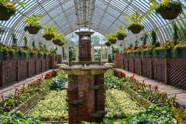 Phipps_Conservatory_credit_Jin_Wu_(39)_S4mDP9_4NjZ_vxLPkFPrOmr18q0ABlZBh_rgb_l
