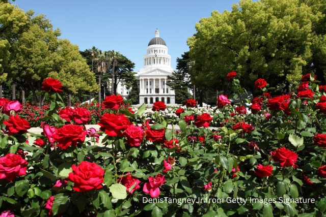 State Capital DenisTangneyJr from Getty Images Signature