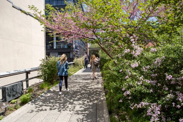 The Highline