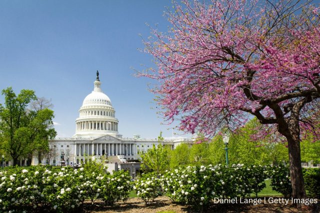 Capital Building Daniel Lange Getty Images